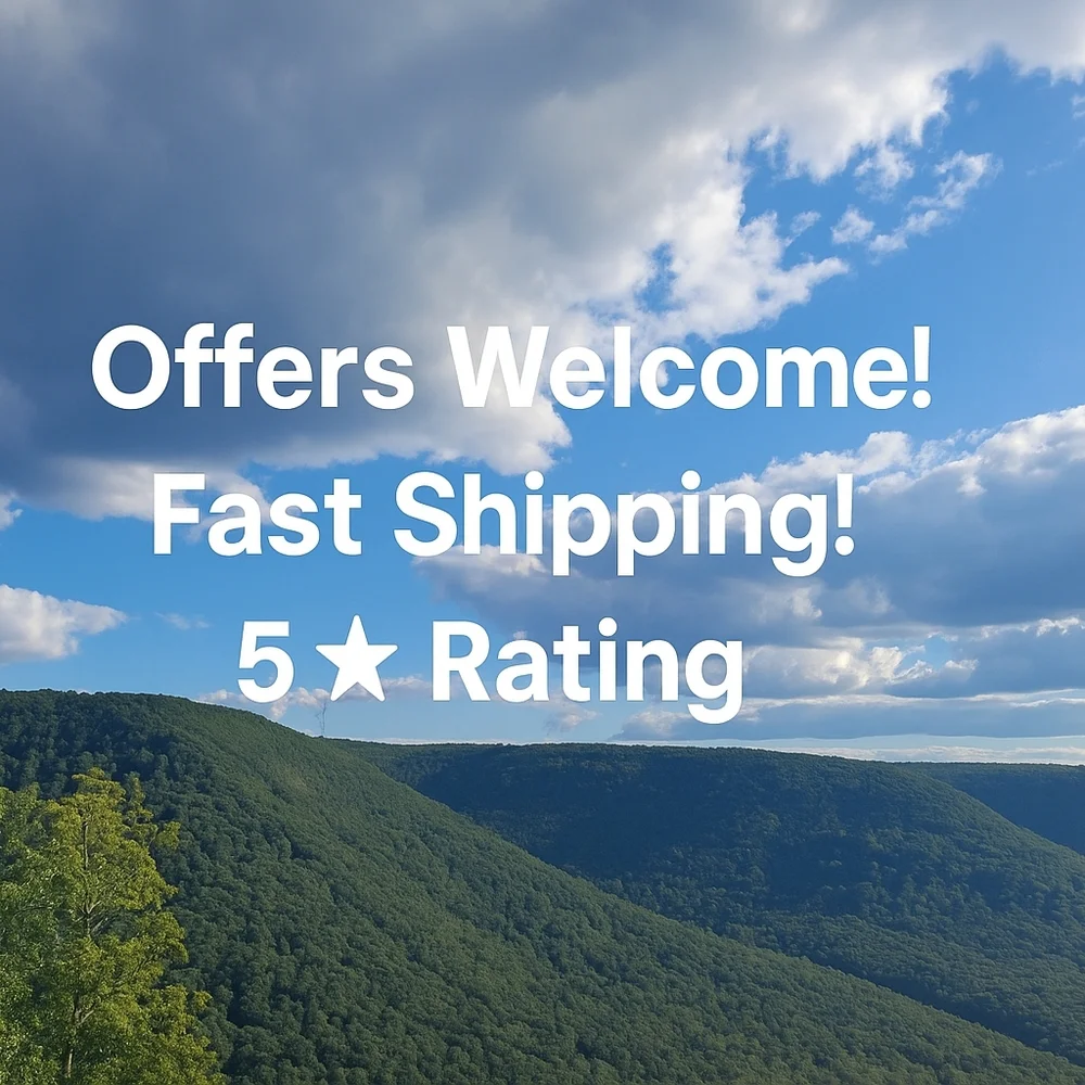 Women’s Chico’s No Iron Button-Up Shirt in Size 2 (Women's Size 12) - Picture 4 of 4